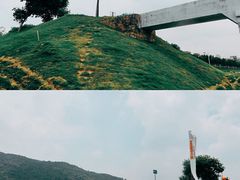 -风云岭森林公园