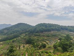 -乌石村