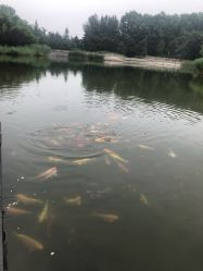 -大望京儿童游乐场