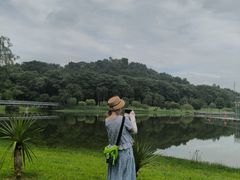 -东莞植物园