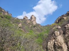 -大岭沟猕猴桃谷风景区