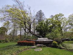 -长田漾湿地公园