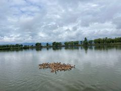 -野鸭湖国家湿地公园