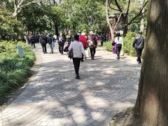 -人民公园-相亲角