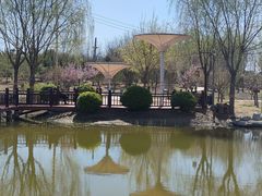 -大鸭梨烤鸭·北京菜(大兴南小街店)