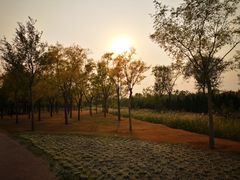 景点-官港森林公园