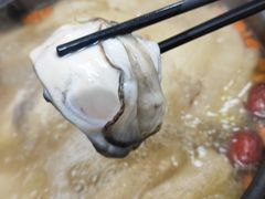 -花苑美食横琴生蚝火锅(拱北粤华路店)