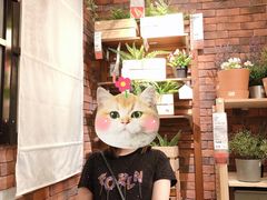 -IKEA宜家家居(南京商场)