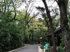 -杭州植物园