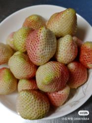 点击看大图 -姜美堂·蒸姜除湿の纤体美颜馆
