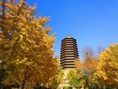 -玲珑塔公园