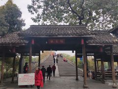 -运河游船(武林门码头)