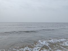 -日照海滨国家森林公园