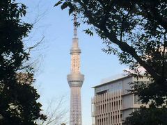 -成都濑川外国语学校