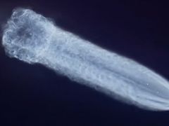 -文昌航天火箭发射基地