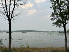 -天津东丽湖风景区