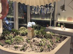 -春树下·树屋花房西餐厅(罍街AS1980店)