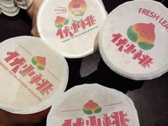 -伏小桃(明瓦廊店)