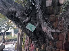 -磁器口古镇