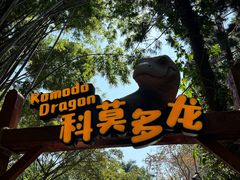 -广州长隆野生动物世界