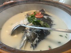 -全乐鱼馆·淳牌有机鱼直营店
