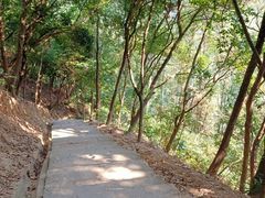 -火炉山森林公园
