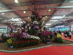 -东南花都花博园