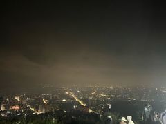 -长虫山生态公园风景林