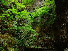 -野三坡百里峡景区