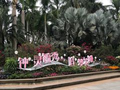 -莲花山公园
