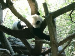 -圣地亚哥动物园
