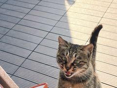 -前叁門