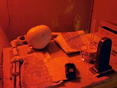 -樊笼真人密室逃脱(江南西店)