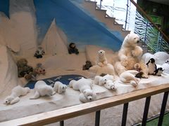 -济州岛泰迪熊博物馆