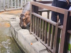 -宁波野生动物园