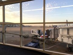 -达拉斯 沃斯堡国际机场