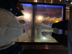 -影汇之星8字形摩天轮