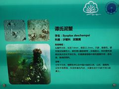 -上海吴淞炮台湾国家湿地公园