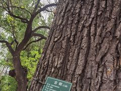 -锅儿挑面馆