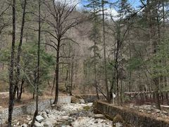 -黑河国家森林公园