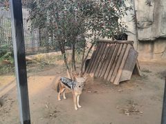 -石家庄市动物园