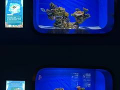 -重庆欢乐海底世界
