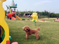 -明珠湖天鹅苑·农家菜馆