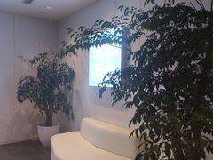 -茶也运也(望京万科店)