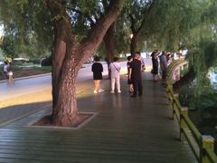 -长春市南湖公园