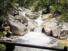 -大鄣山卧龙谷景区