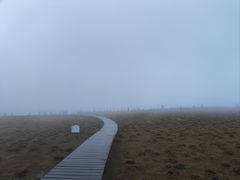 -芦芽山旅游度假区