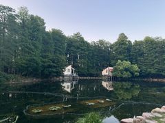 -上海共青森林公园