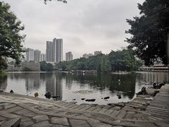 -荔湾湖公园