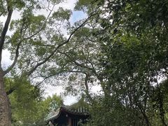 -柳侯公园